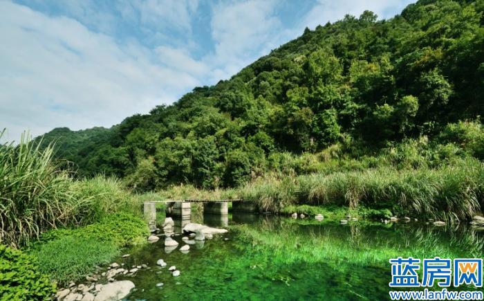 桂湖山水