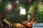 海西财富中心实景图:绿意盎然的植物墙