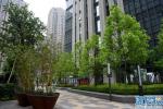 东二环泰禾广场2015年5月1日工程进度