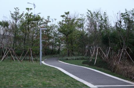 江滨公园